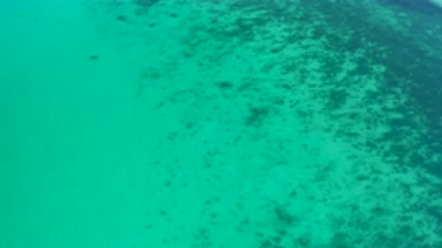EL SARGENTO LA VENTANA MEXICO-2020: Camera Moves Forward Over Blue Tropical Waters