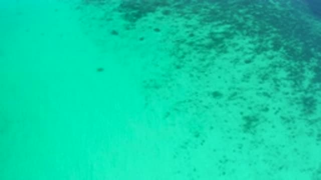 EL SARGENTO LA VENTANA MEXICO-2020: A Green Deep Sea in Mexico