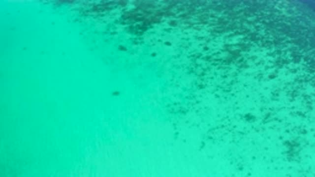 EL SARGENTO LA VENTANA MEXICO-2020: Serene Ocean Waves Without Animals