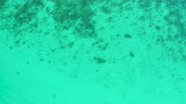 EL SARGENTO LA VENTANA MEXICO-2020: The Beautiful And Clear Blue Sea And The