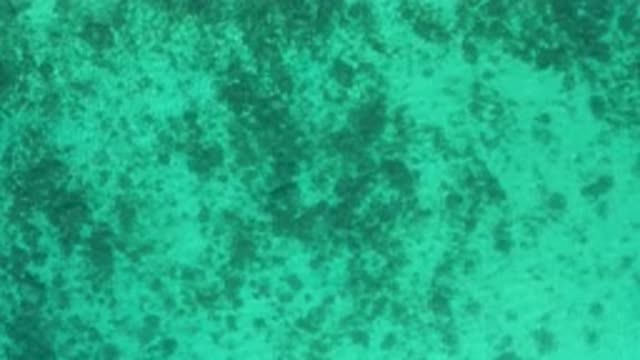 EL SARGENTO LA VENTANA MEXICO-2020: Crystal Clear Green Ocean Water With Ripples