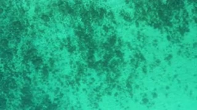 EL SARGENTO LA VENTANA MEXICO-2020: The Most Beautiful Video Of A Blue Beach