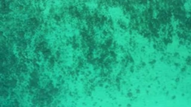 EL SARGENTO LA VENTANA MEXICO-2020: Zooming Out View Of A Blue Green Sea Water