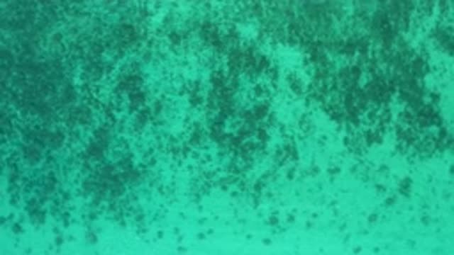 EL SARGENTO LA VENTANA MEXICO-2020: Green Blue Smudges Camera Zooming Out Random