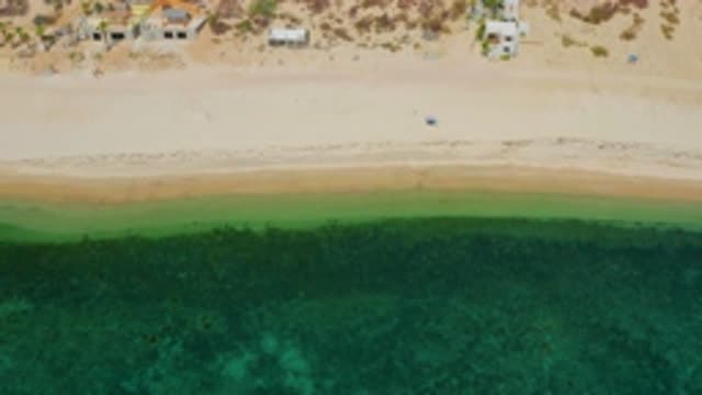EL SARGENTO LA VENTANA MEXICO-2020: Very Green Water In A Sea With Homes Along The Shore