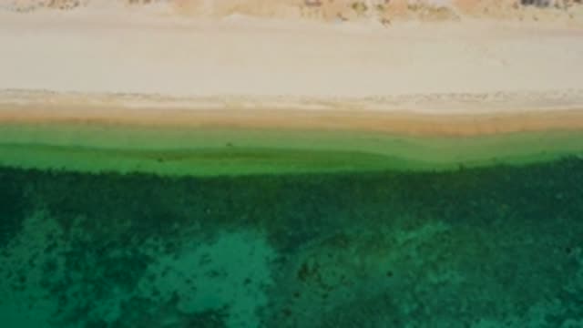 EL SARGENTO LA VENTANA MEXICO-2020: Sea Shore With Green And Clear Water