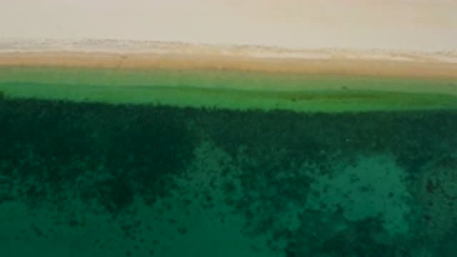 EL SARGENTO LA VENTANA MEXICO-2020: Turquoise Green Sea That Makes You Want To Swim