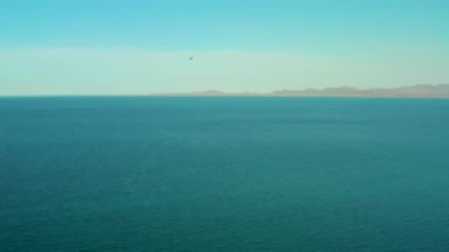 EL SARGENTO LA VENTANA MEXICO-2020: The Pleasant View Of The Bird Flying In Sky
