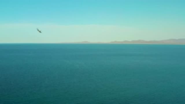 EL SARGENTO LA VENTANA MEXICO-2020: Bird Flies Briefly In Ocean View Footage