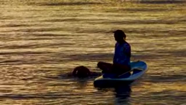 EL SARGENTO LA VENTANA MEXICO-2020: Person Floating On Surf Board With An Oar