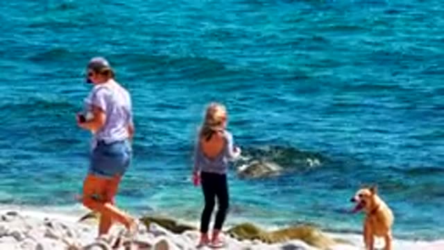 EL SARGENTO LA VENTANA MEXICO-2020: Adult And Child At Shoreline With Dog