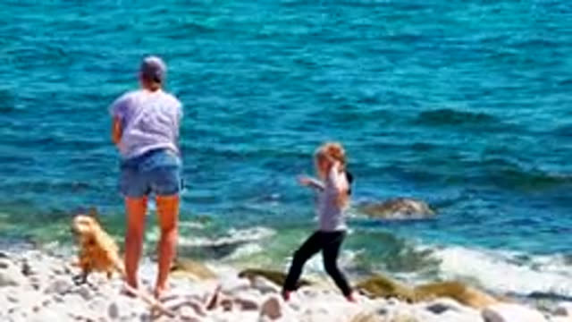 EL SARGENTO LA VENTANA MEXICO-2020: Mom And The Daughter Play With Dog Near Rocks