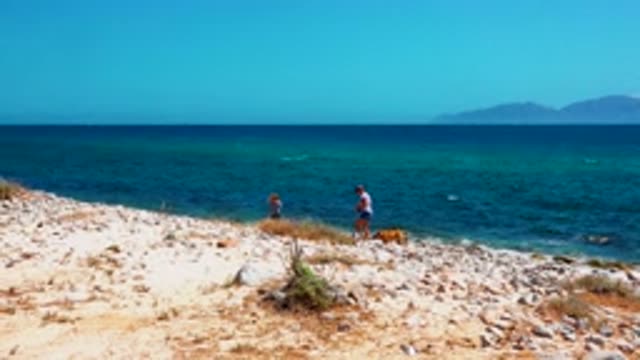 EL SARGENTO LA VENTANA MEXICO-2020: A Woman With Her Son And Her Dog At The Beach