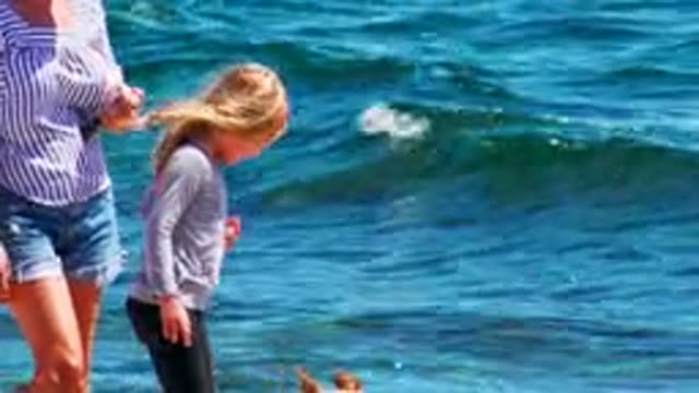 EL SARGENTO LA VENTANA MEXICO-2020: Mother And Daughter Walking Dog On The Beach