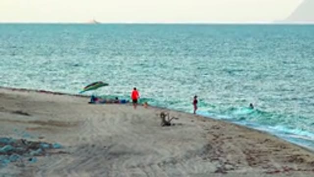 People Relaxing And Swimming On Sandy Beach