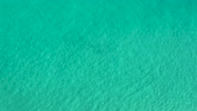 LOS CABOS MEXICO-2020: Peaceful Teal Water Roaming Freely With No One
