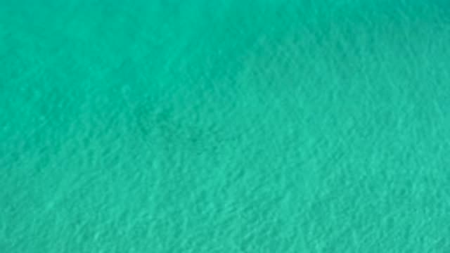 LOS CABOS MEXICO-2020: Green Rippling Water in a Calm Sunny Environment