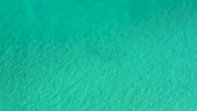 LOS CABOS MEXICO-2020: Those Beautiful Calm Waters