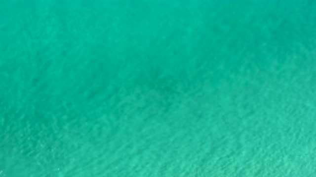 LOS CABOS MEXICO-2020: The River Is Running In A Beautiful Way