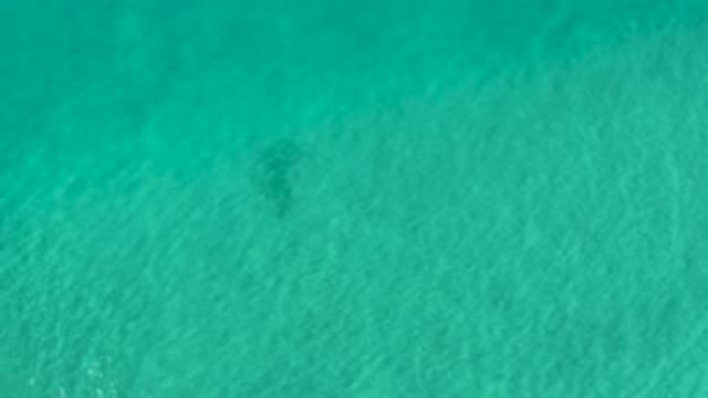 LOS CABOS MEXICO-2020: Scene of Amazing Water Flowing on Sea