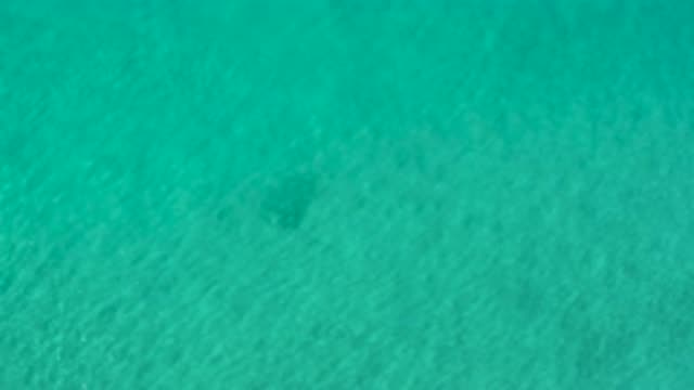LOS CABOS MEXICO-2020: Blue Teal Waves All Around Is There Something In There