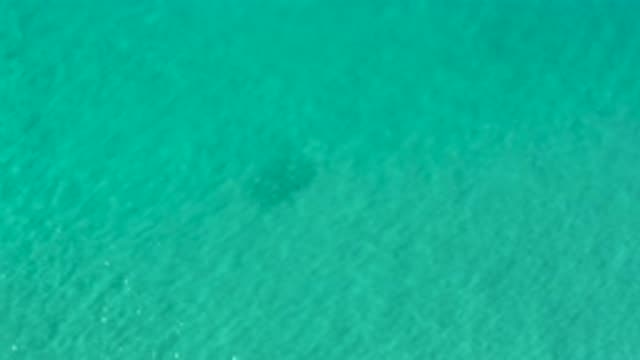 LOS CABOS MEXICO-2020: Water Flowing Over Sea Life In The Middle Of The Ocean