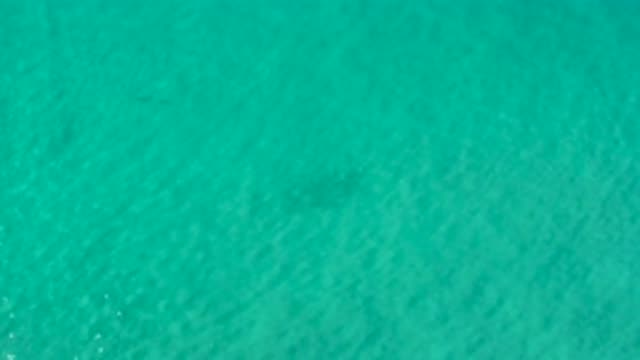 LOS CABOS MEXICO-2020: Overhead Shot Of A Peaceful Clear Blue Source Of Water