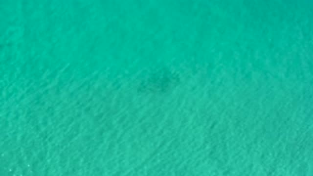 LOS CABOS MEXICO-2020: Amazing And Clear Green Ocean Waves