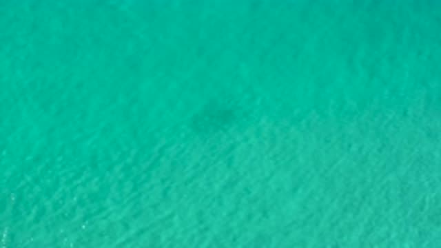 LOS CABOS MEXICO-2020: Shallow Waters Of The Sea In A Green Color And A Slight