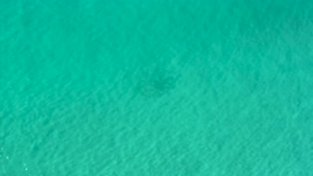 LOS CABOS MEXICO-2020: Blue Crystal Water With Little Ripples Sparkling In The