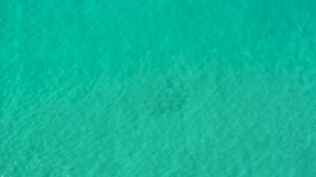 LOS CABOS MEXICO-2020: Aerial View of a Green Sea