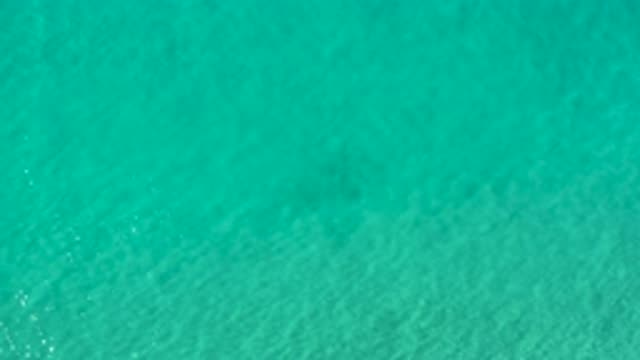 LOS CABOS MEXICO-2020: The Top View Of The Silent Blue Beach Without Any Waves
