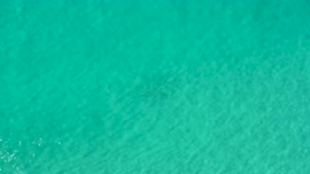 LOS CABOS MEXICO-2020: Calm Ocean Green Waters On A Hot Summer Day