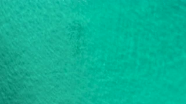 LOS CABOS MEXICO-2020: Clear Green Sea Water To See What Inside