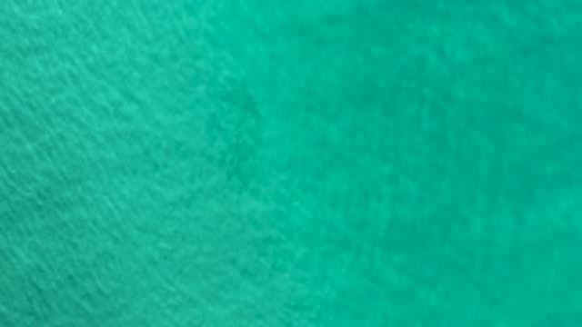 LOS CABOS MEXICO-2020: Movement Of Still Waters