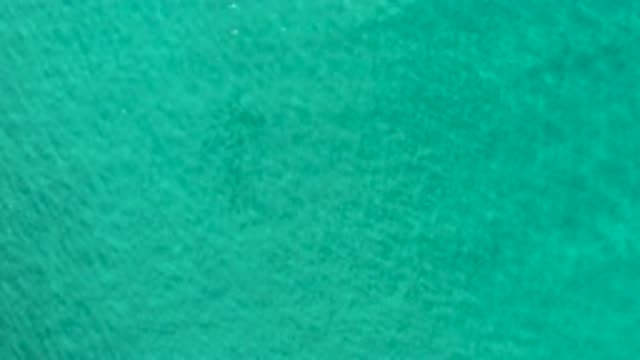 LOS CABOS MEXICO-2020: School Of Fish In Tropical Waters