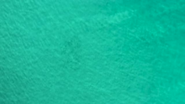 LOS CABOS MEXICO-2020: Green Water Deep Ocean
