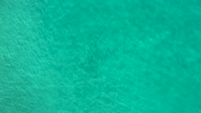 LOS CABOS MEXICO-2020: Incredible Clear And Green Waters