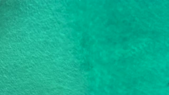 LOS CABOS MEXICO-2020: An Amazing Wild Nature