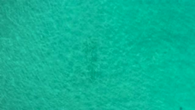 LOS CABOS MEXICO-2020: A Green Blue Water Flowing So Clear You Can See Through