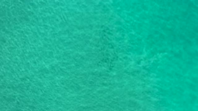 LOS CABOS MEXICO-2020: Different Currents Meet In The Middle To Create Beautiful
