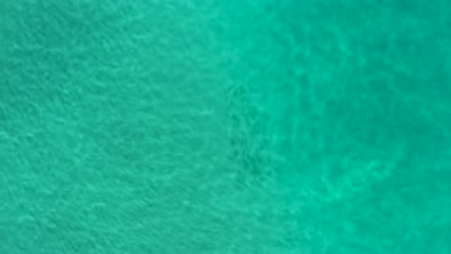 LOS CABOS MEXICO-2020: Overhead View Of Water Waves Rolling Gently Over Sandy