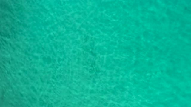 LOS CABOS MEXICO-2020: Green Sea Perfect For Swimming