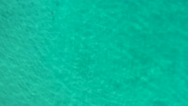LOS CABOS MEXICO-2020: Cool Blue Swimming Waters Positively Affect Deep Calming