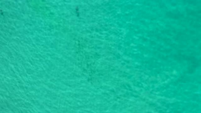 LOS CABOS MEXICO-2020: Gorgeous Calm Clear Blue Ocean Water With Moving Black Forms