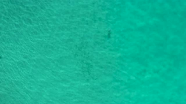 LOS CABOS MEXICO-2020: Clean And Clear Green Ocean Waters