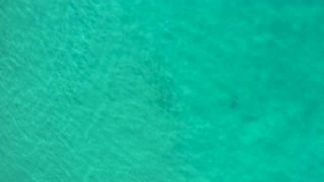 LOS CABOS MEXICO-2020: An Amazing View Of The Beach