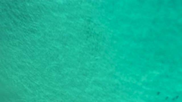 LOS CABOS MEXICO-2020: An Empty Green Sea