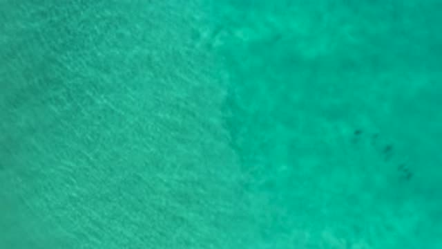 LOS CABOS MEXICO-2020: Six People Wading in Sea Water to Enjoy Beach Vacation