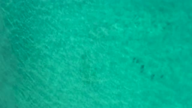 LOS CABOS MEXICO-2020: Green Water Moving in Wavelike Forms With Fish